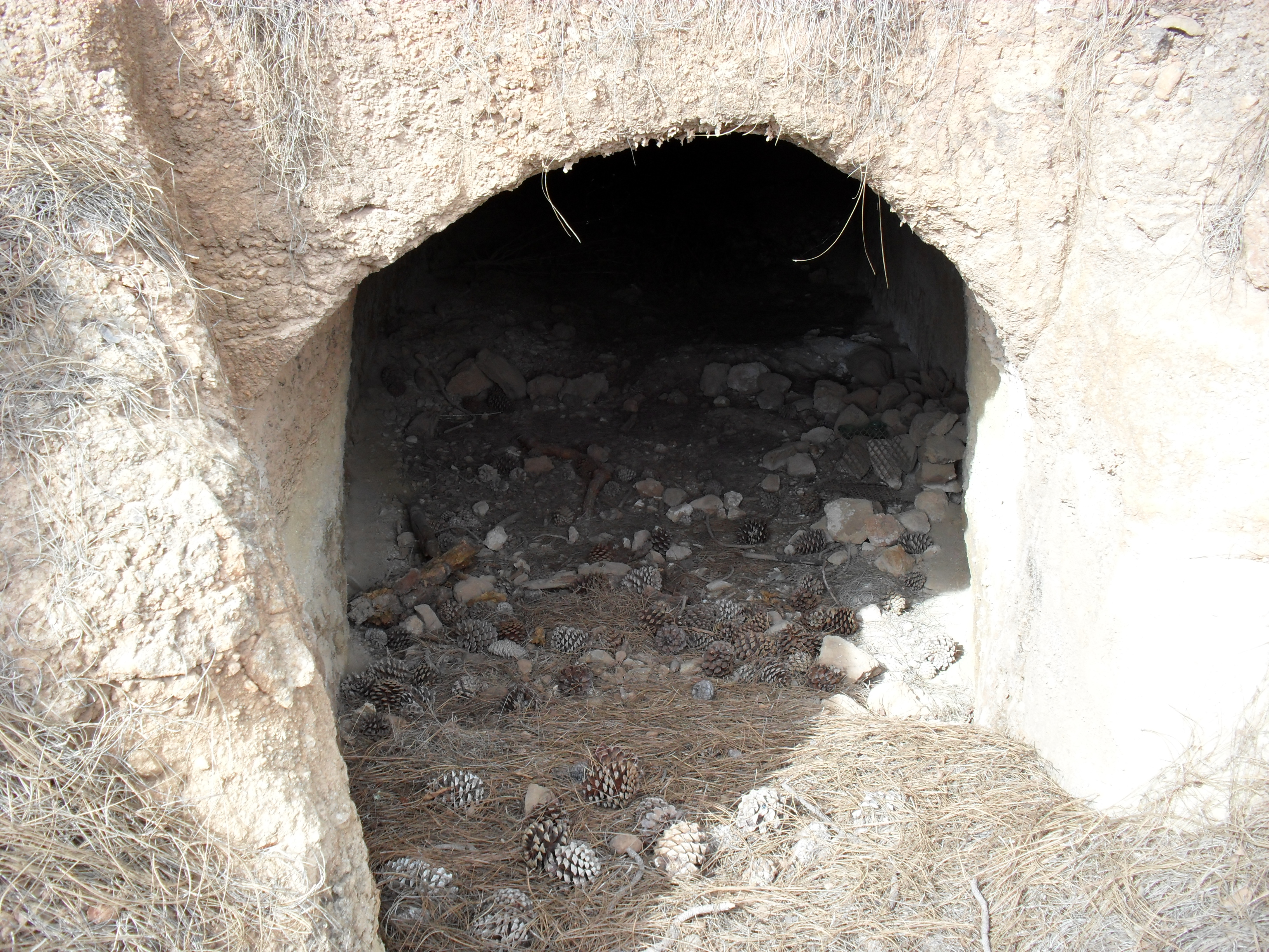 A cave. (c) cliodna on sxc.hu