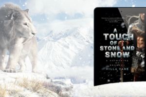 Stone & Snow