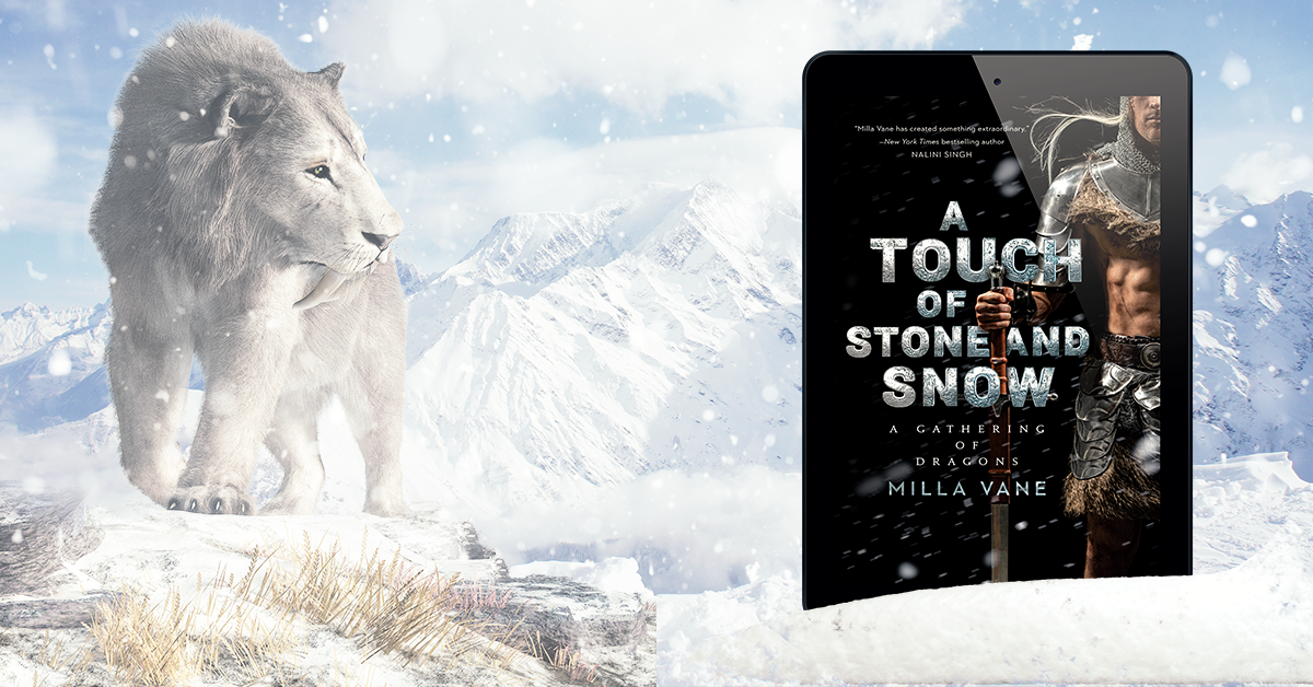 Stone & Snow